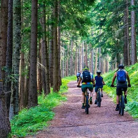 Lelis Alpenloft - Bergchalet In Halden